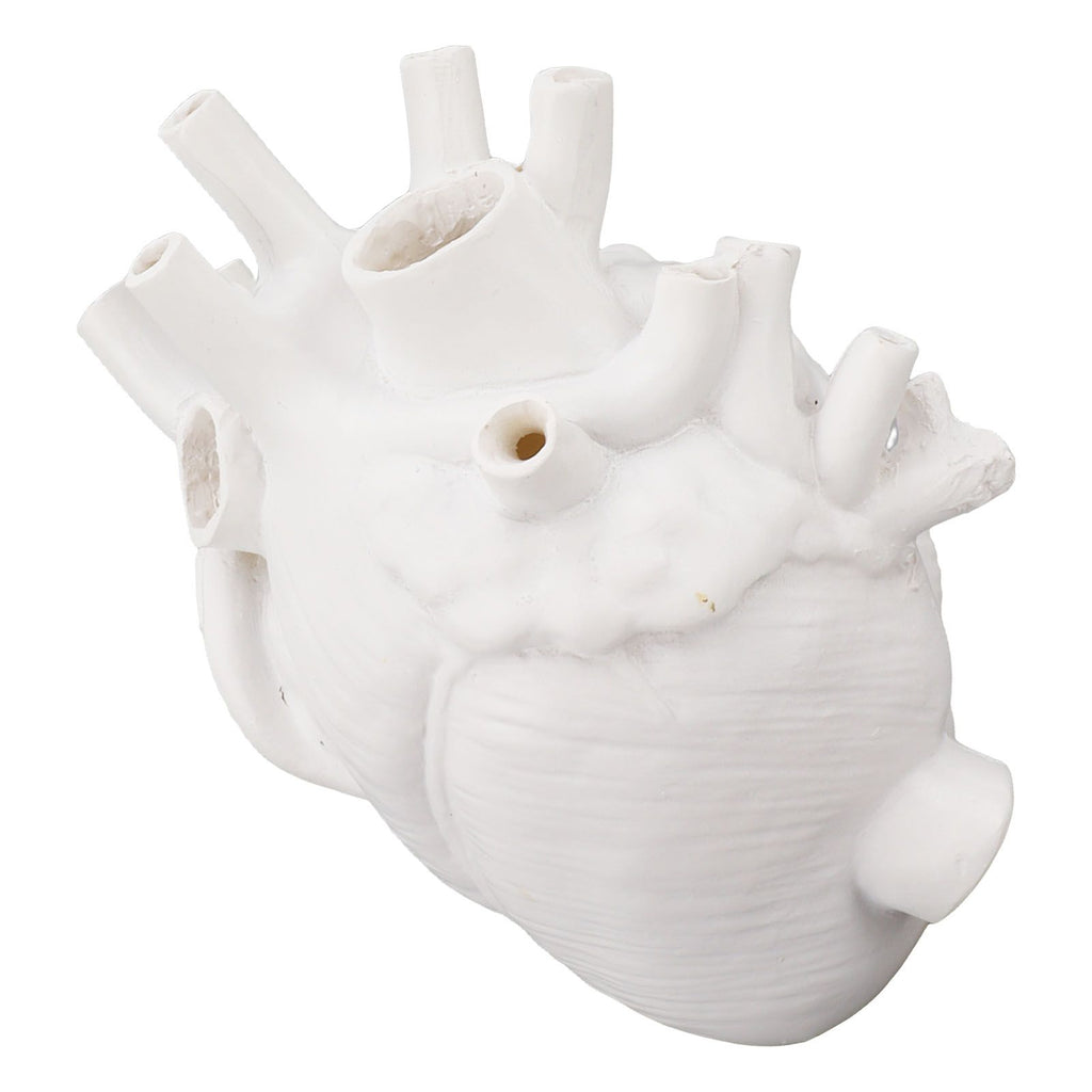 Heart Shaped Vase Decorative Modern Resin Exquisite Planter Pot for Home Office Bedroom Wedding White