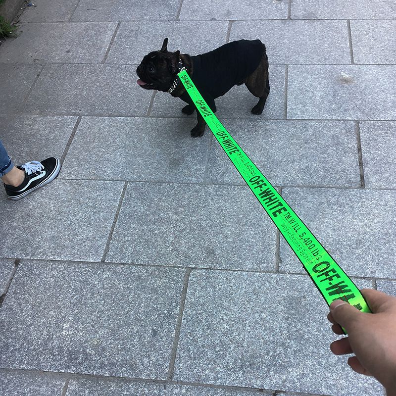 Card Pet Nylon Extendable Dog Leash 150cm Blue