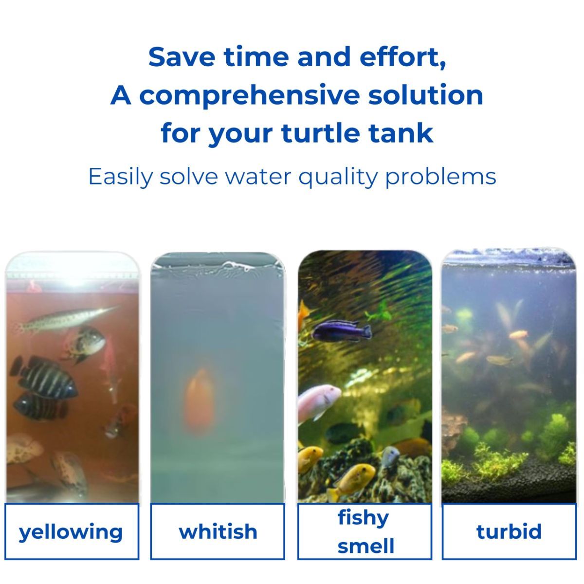Fish Feeding Box Ring for Turtle with Filter Ball Set, Fish Feeder Ring and Nitrifying Ball, Betta Feeding Floating, Turtle Enrichment Toys, Floating Betta Food Holder (Clear，2Pcs） - Clear - Size S