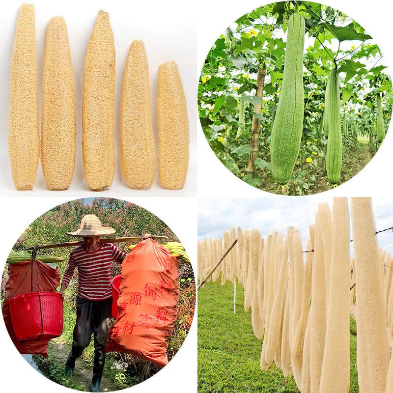 Natural Long Loofah Sponge for Kitchen Cleaning, Non-Stick Dish Scrubber, Eco-Friendly Plant Fiber Scouring Pad with Hanging Rope, Versatile for Pots, Pans, and Cookware (M, OPP)