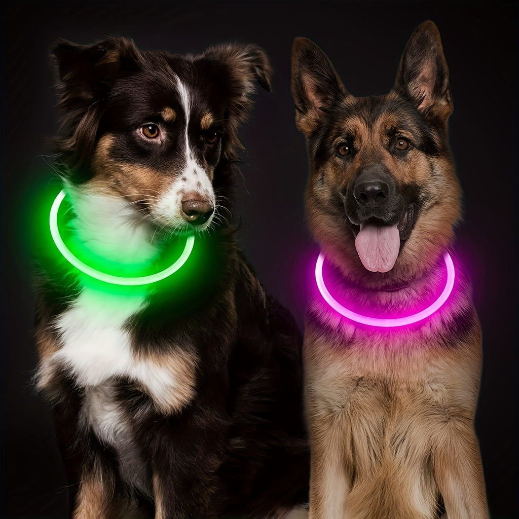 USB Rechargeable LED Glow Pet Collar, Soft Silicone Night Safety Dog & Cat Collar with 6 Colors, 3 Modes, Adjustable Length for Small, Medium, Large Pets, Ideal for Evening Walks and Outdoor Visibility (S, Purple)