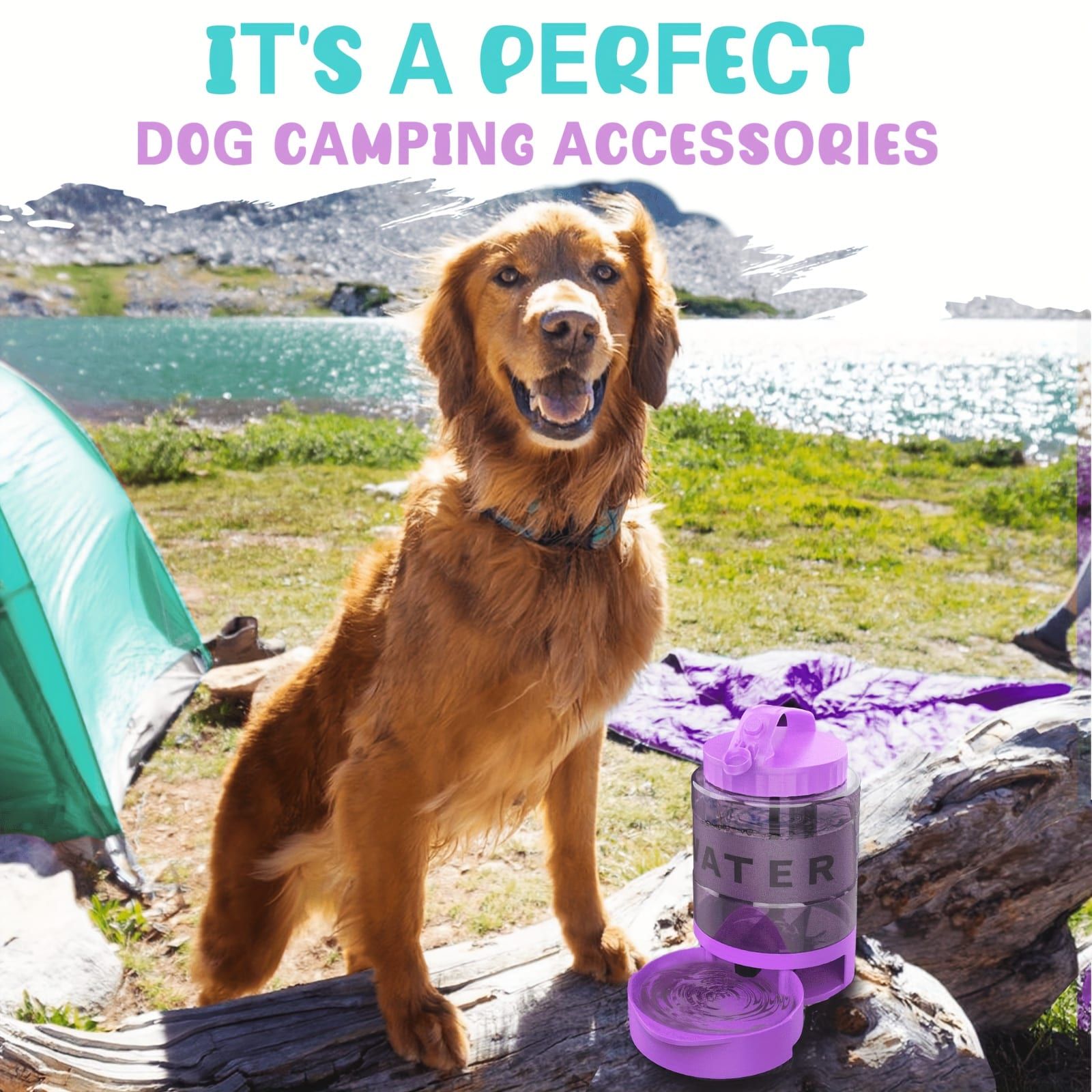 Portable Pet Water Bottle with Built-in Bowl – Leak-Proof, Large Capacity 77oz for Camping, Hiking, and Dog Park Adventures – Ideal for Small to Medium Breeds, Easy to Carry Outdoor Dog Travel Dispenser (Black)