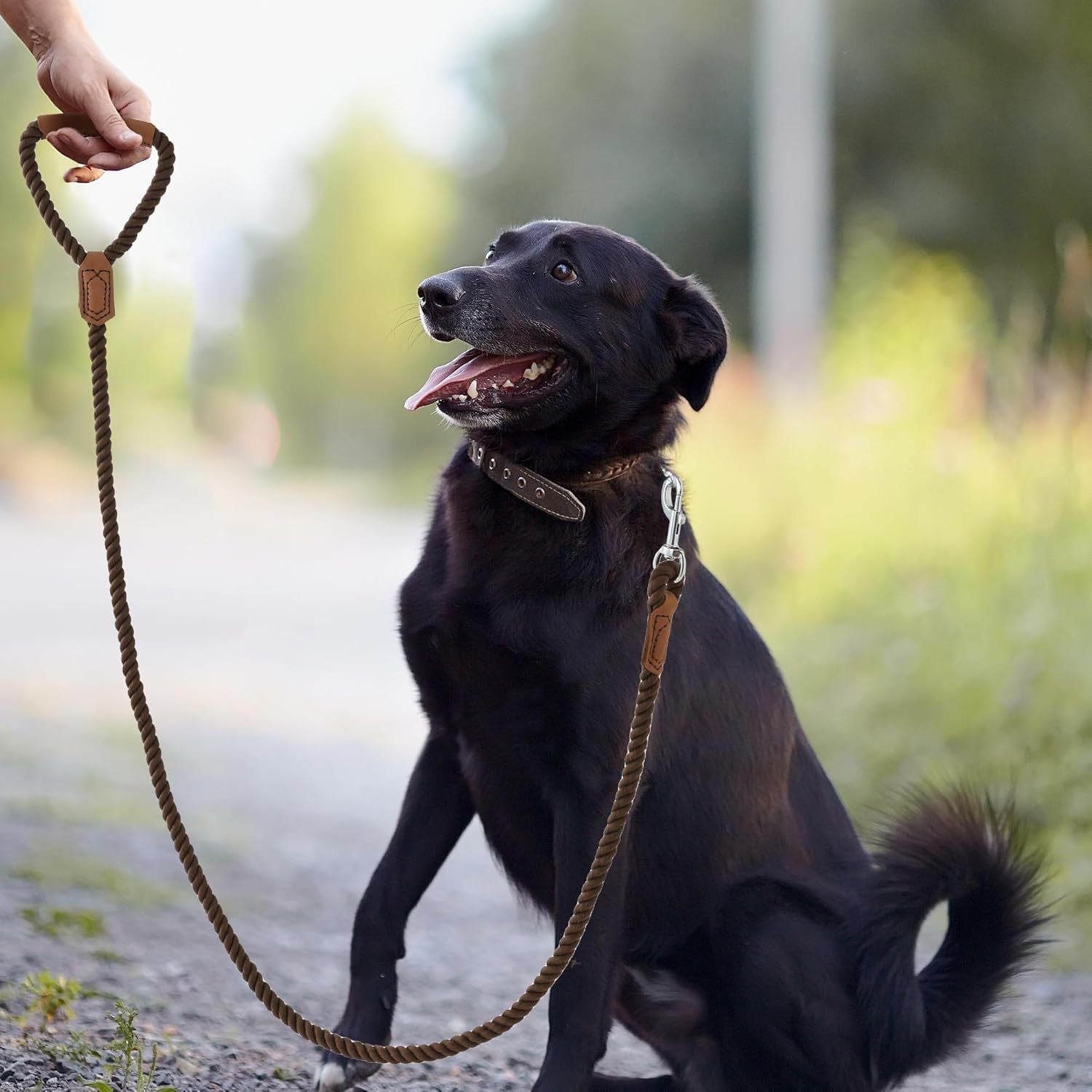 Classic Braided Dog Leash with Genuine Leather Handle and Heavy Duty Metal Clasp for Outdoor Walking, Training, and Control of Medium to Large Breeds (123cm, Brown)