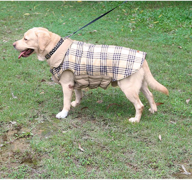 Reversible Winter Dog Coat with Plaid and Quilted Sides, Warm Cotton-Filled Vest for Outdoor Walks, Adjustable Velcro Straps for a Secure Fit (M, Red)