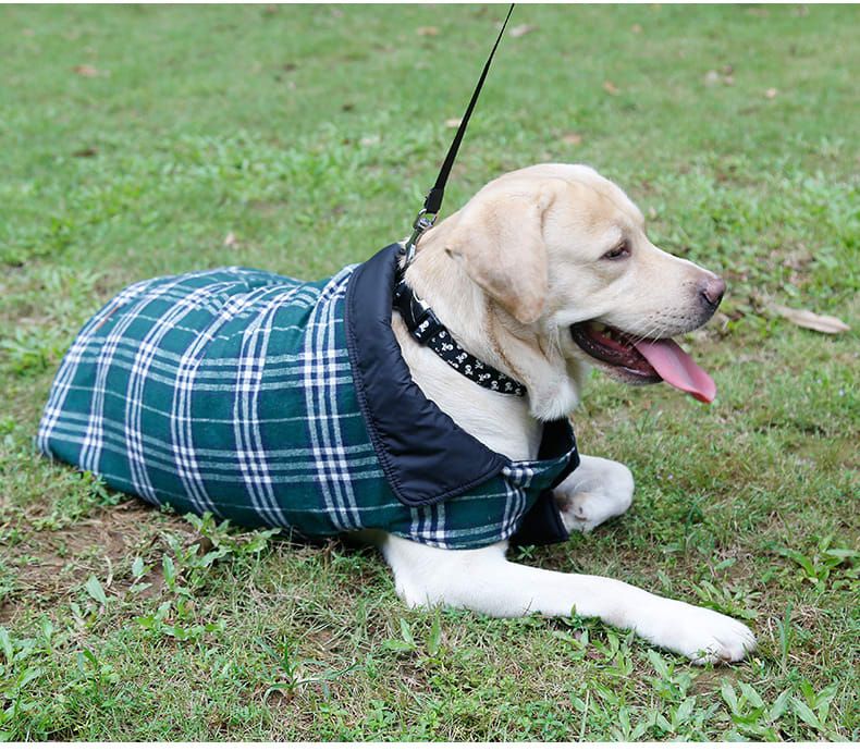 Reversible Winter Dog Coat with Plaid and Quilted Sides, Warm Cotton-Filled Vest for Outdoor Walks, Adjustable Velcro Straps for a Secure Fit (S, Green)