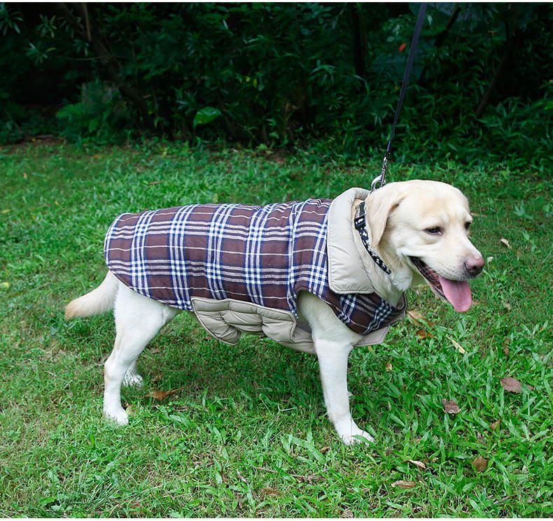 Reversible Winter Dog Coat with Plaid and Quilted Sides, Warm Cotton-Filled Vest for Outdoor Walks, Adjustable Velcro Straps for a Secure Fit (XS, Green)