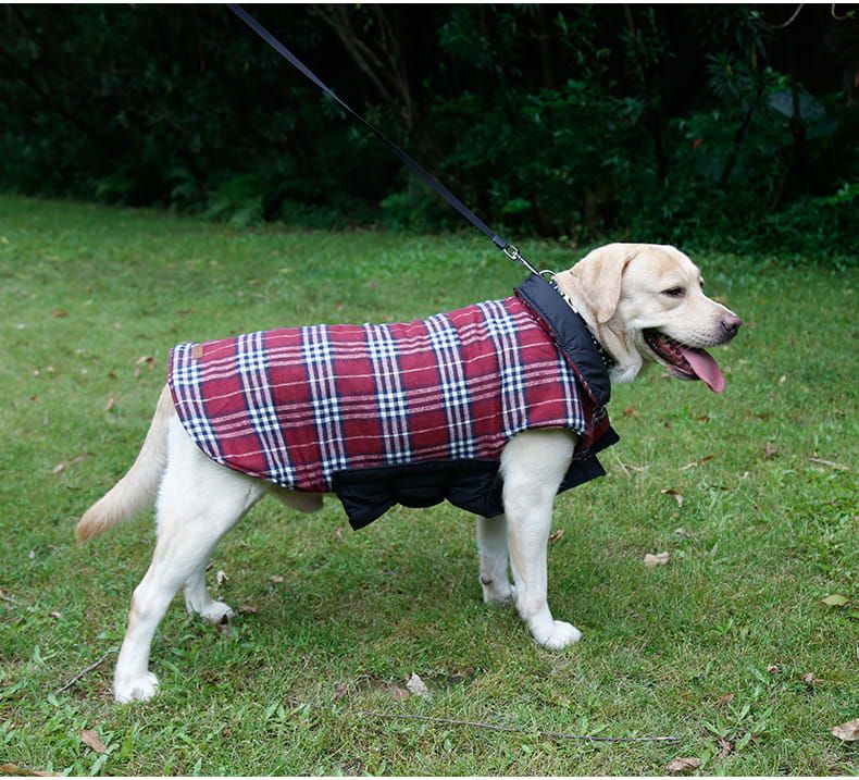 Reversible Winter Dog Coat with Plaid and Quilted Sides, Warm Cotton-Filled Vest for Outdoor Walks, Adjustable Velcro Straps for a Secure Fit (XS, Red)