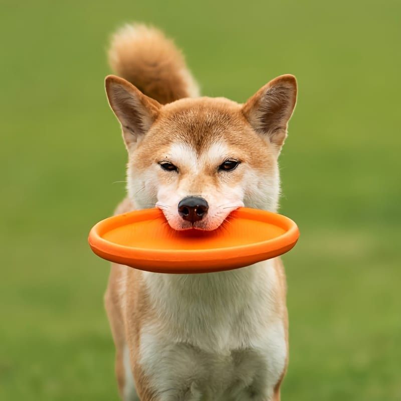 Soft Durable Dog Frisbee for Fetch, Tug, and Water Play – Non-Toxic Rubber Flying Disc with Paw Print Design, Perfect for Outdoor Training, Beach, and Pool Fun with Large, Medium, and Small Breeds (L, Blue)