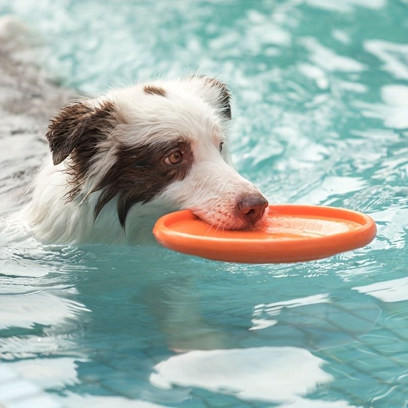 Soft Durable Dog Frisbee for Fetch, Tug, and Water Play – Non-Toxic Rubber Flying Disc with Paw Print Design, Perfect for Outdoor Training, Beach, and Pool Fun with Large, Medium, and Small Breeds (L, Yellow)