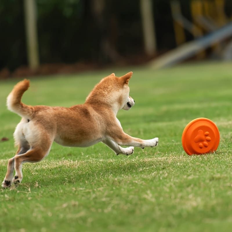 Soft Durable Dog Frisbee for Fetch, Tug, and Water Play – Non-Toxic Rubber Flying Disc with Paw Print Design, Perfect for Outdoor Training, Beach, and Pool Fun with Large, Medium, and Small Breeds (S, Yellow)