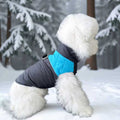 Winter Pet Dog Padded Vest with Waterproof Shell, Warm Fleece Lining, and Leash Attachment Ring for Outdoor Cold Weather Walks (S, Blue)