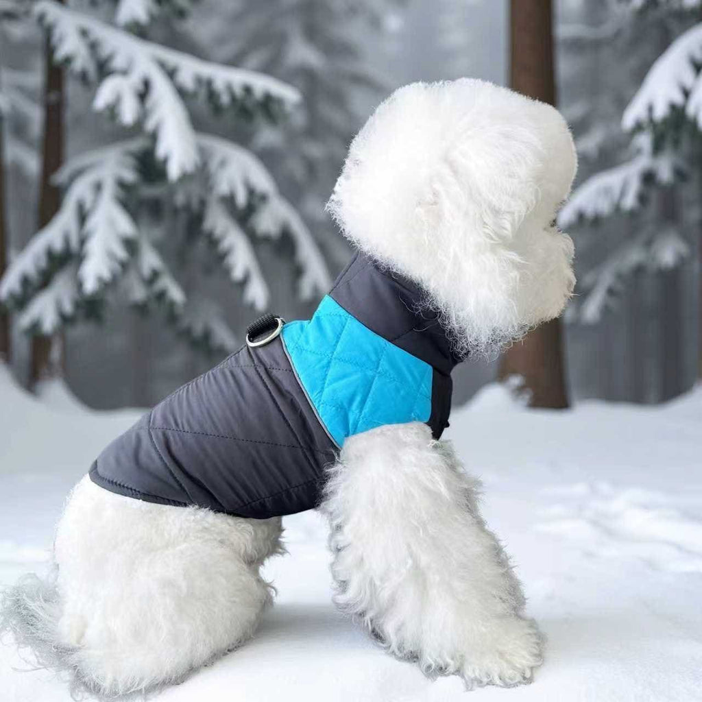 Winter Pet Dog Padded Vest with Waterproof Shell, Warm Fleece Lining, and Leash Attachment Ring for Outdoor Cold Weather Walks (XL, Blue)