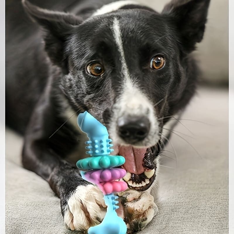 Durable Dog Chew Toy for Aggressive Chewers – Fun Bone-Shaped Dental Toy with Flower Ring Design, Ideal for Medium to Large Dogs, Great for Teeth Cleaning and Training Rewards (Green)