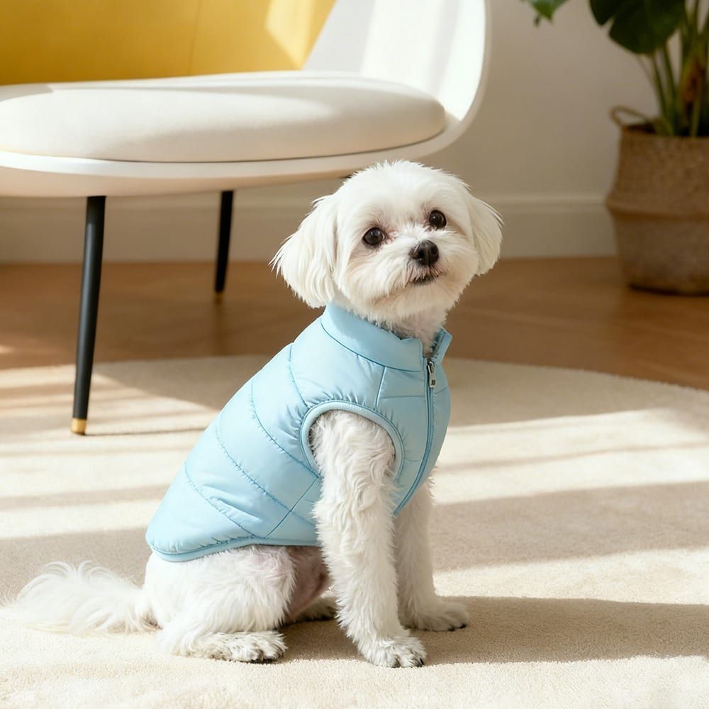 Winter Warm Quilted Vest for Small Pets – Water-Resistant, Fleece-Lined, Easy-On Design with Leash Hole for Indoor and Outdoor Use (M, Blue)