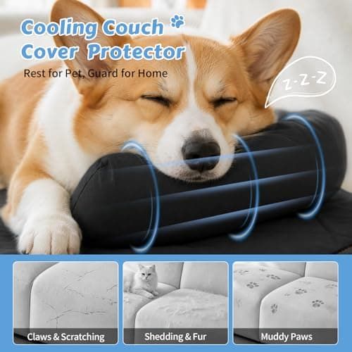 Cooling Pet Mat with Bolster Side Support – Scratch-Resistant, Self-Cooling, Non-Slip Base for Cats & Small to Medium Dogs, Perfect for Sofa, Floor, Car, or Outdoor Use (M, Orange)