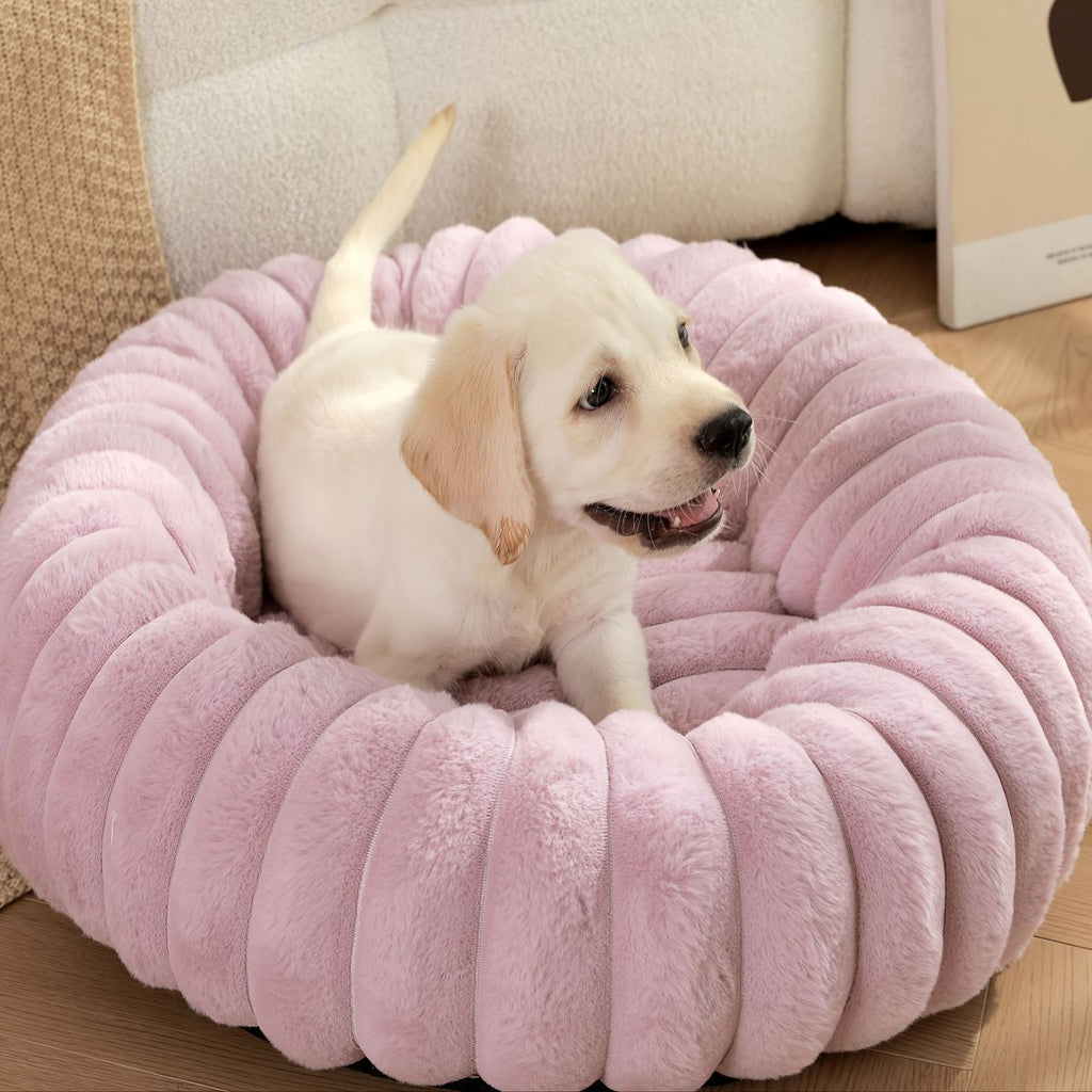 Pet Bed Dog Bed Cat Bed Small Dog Bed Medium Dog Bed Plush Pet Bed All-Season - Purple - Size 50-20-20