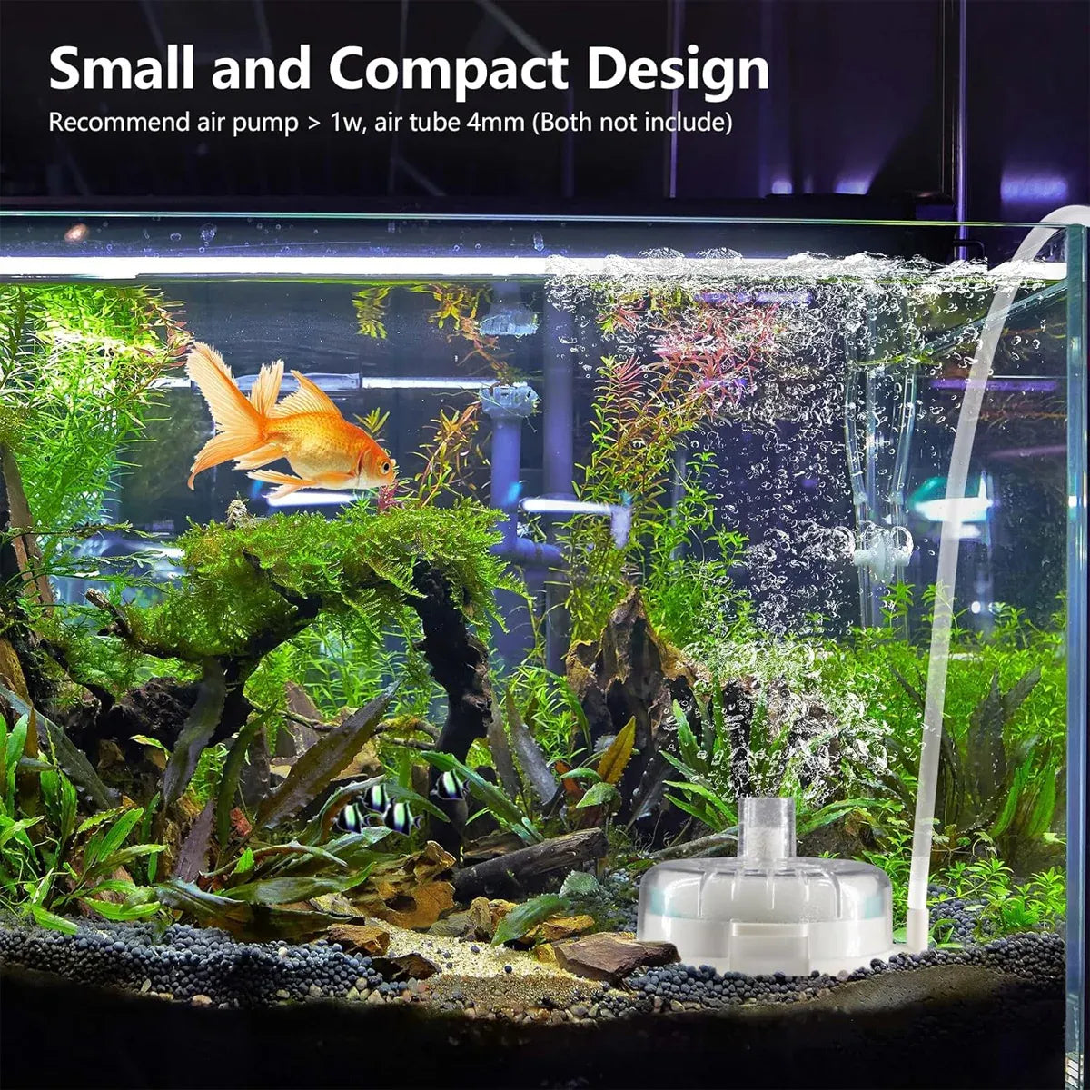 Aquarium Filter Special Mini Small Tank Filter Circle for Freshwater or Marine - 10cm Filter